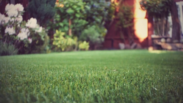 Artificial Turf Backyard - Amelia Outdoors