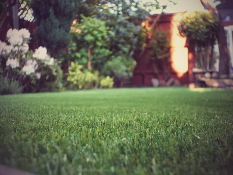 Artificial Turf Backyard