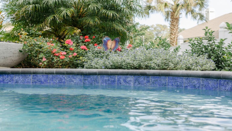 Tropical Backyard Pool - Cascade Cove designed by Amelia Outdoors