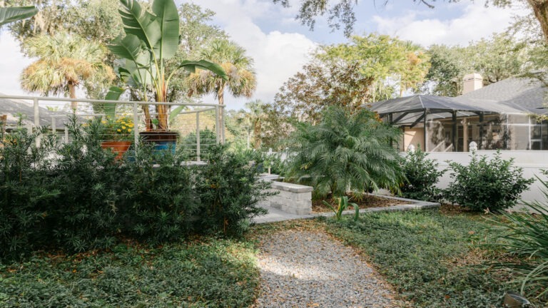 Tropical Backyard Pool - Cascade Cove designed by Amelia Outdoors