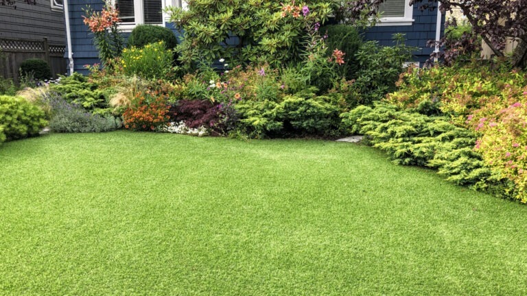 Artificial Turf Backyard