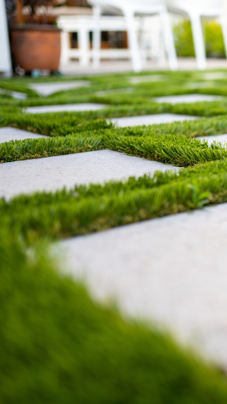 Artificial Turf Backyard - Amelia Outdoors